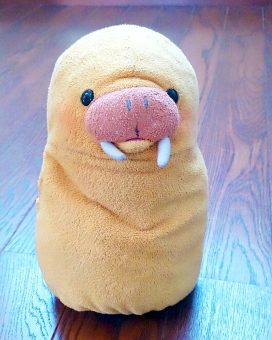 セイちゃん